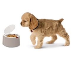 microchip activated pet feeder