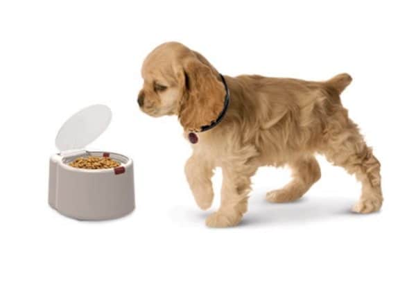 microchip activated pet feeder