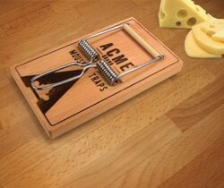 mouse trap cheese