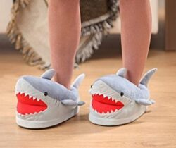 shark slippers
