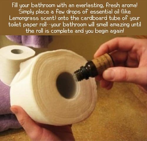 toilet roll smell