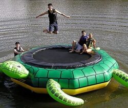 turtle water trampoline