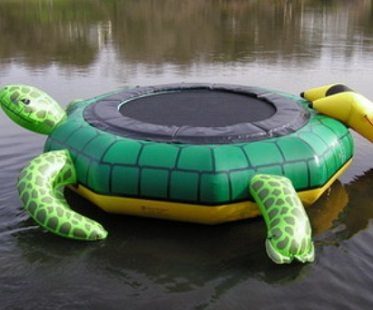 turtle water trampoline jump