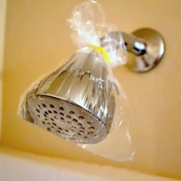 vinegar bag shower head