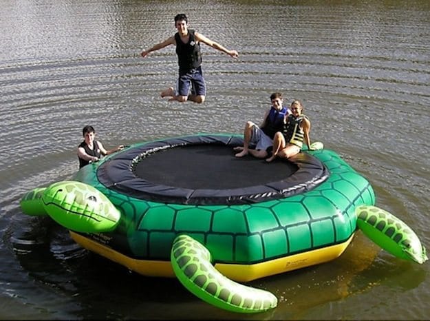 water-toy-turtle