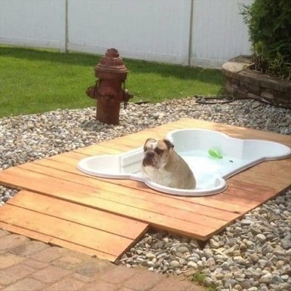 Bone Shaped Dog Pool