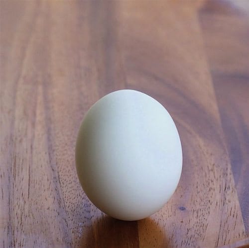 DIY-egg.jpg