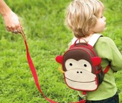 Monkey Backpack And Safety Harness
