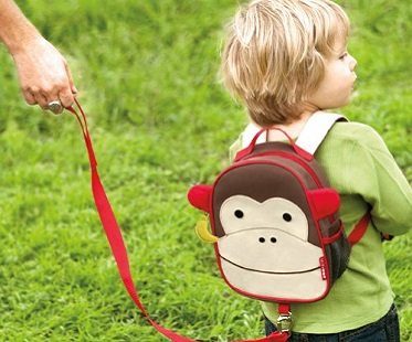 Monkey Backpack And Safety Harness