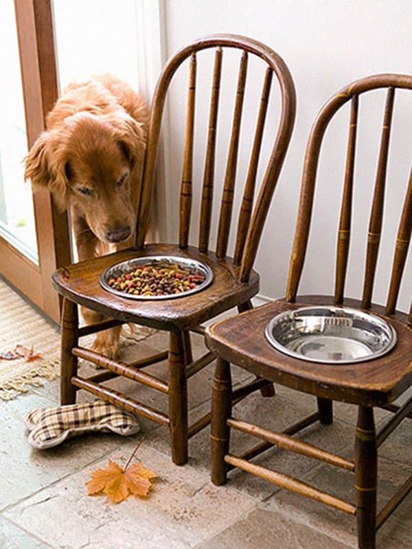 Old Chairs Into Pet Feeding Station