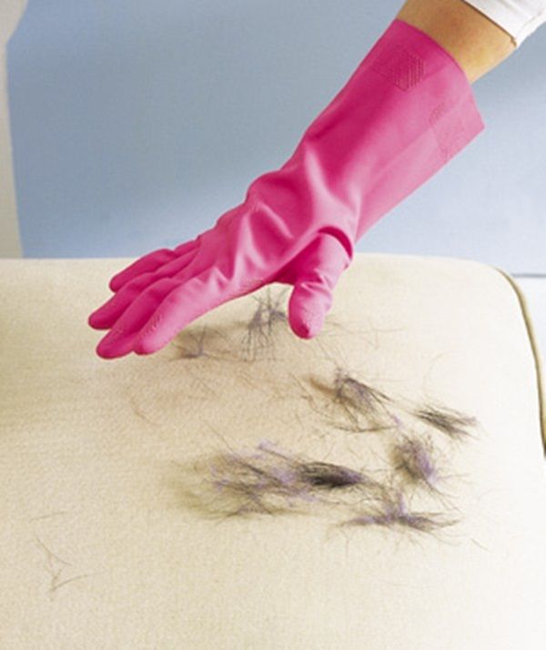 Rubber-Glove-as-Pet-Hair-Remover