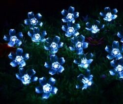 Solar Powered String Lights