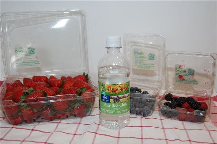 berries vinegar