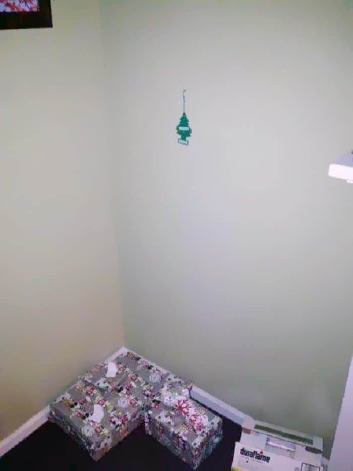 budget christmas tree