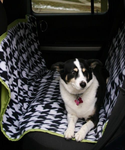 car seat dog hammock