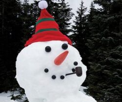 dress snowman kit