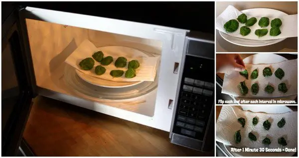 dry herbs microwave