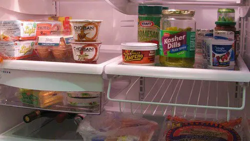 fridge contents
