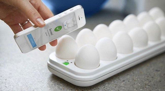 gadgets-egg-minder