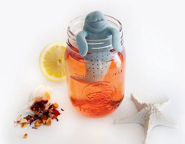 manatee infuser