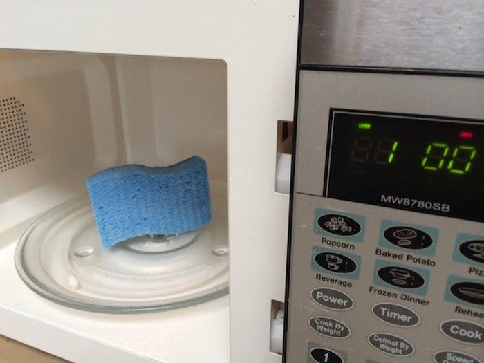 microwave your kitchen sponge to kill bacteria and smells
