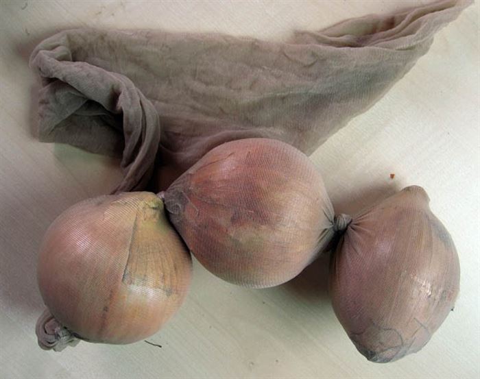 pantyhose onions