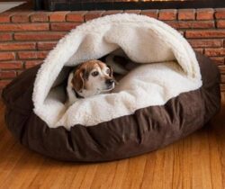 pet cave bed