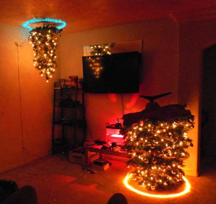 portal tree