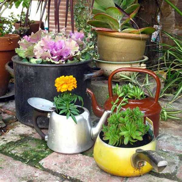 pot teapot plant holders