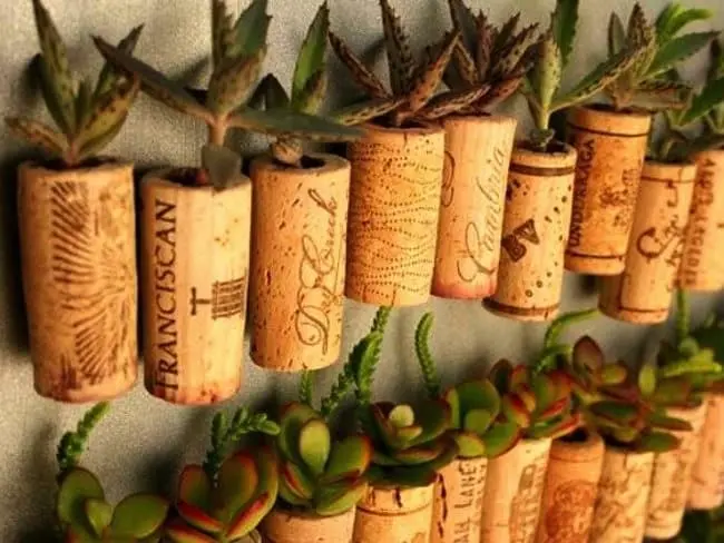 recycle-wine-cork