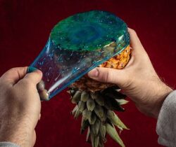 stretchable food cover