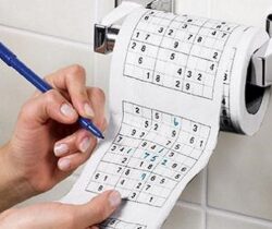 sudoku toilet roll