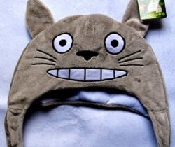 totoro hat