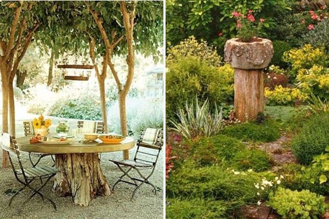 tree-stump-repurpose