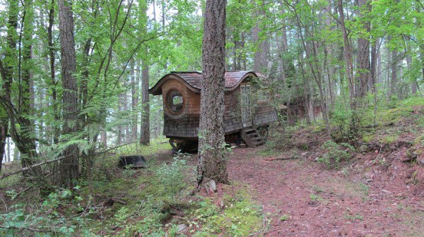 woods wagon trees