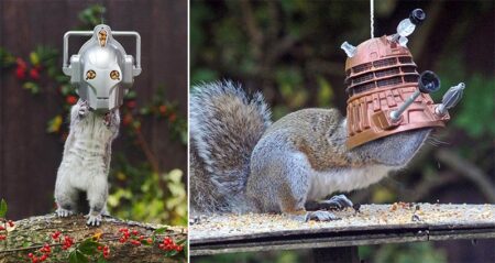 Dr. Who Squirrel Feeders