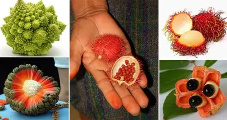 Weird Fruits and Vegetables