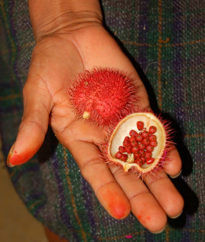 achiote