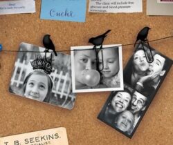 bird clip picture hangers