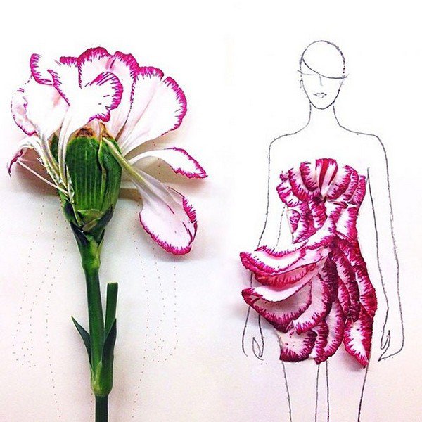carnation petal dresses