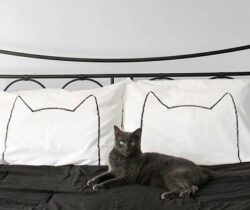 cat head pillowcases
