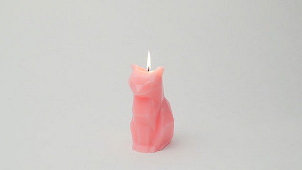 cat skeleton candle