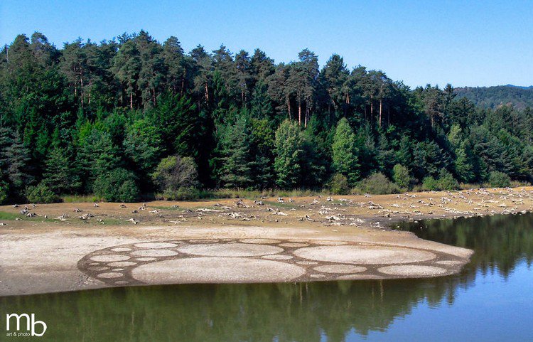 circles ground lake shore