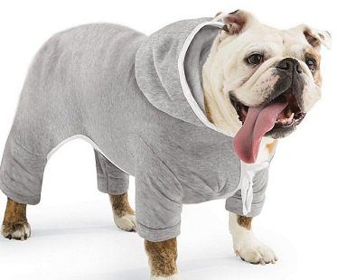 dog jogging suit