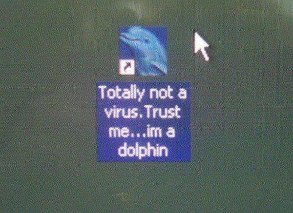 dolphin not virus