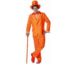 dumb and dumber lloyd costume