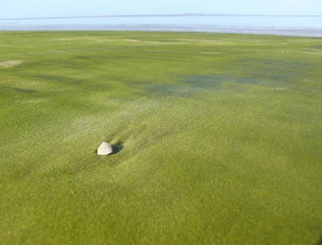 emerald-green-sand