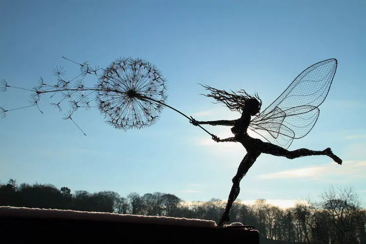 fairy dandelion blowing