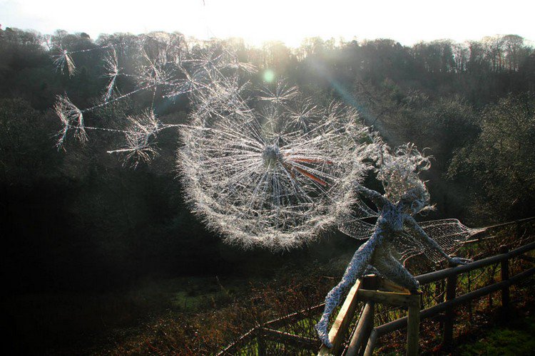 fairy dandelion clock dusk