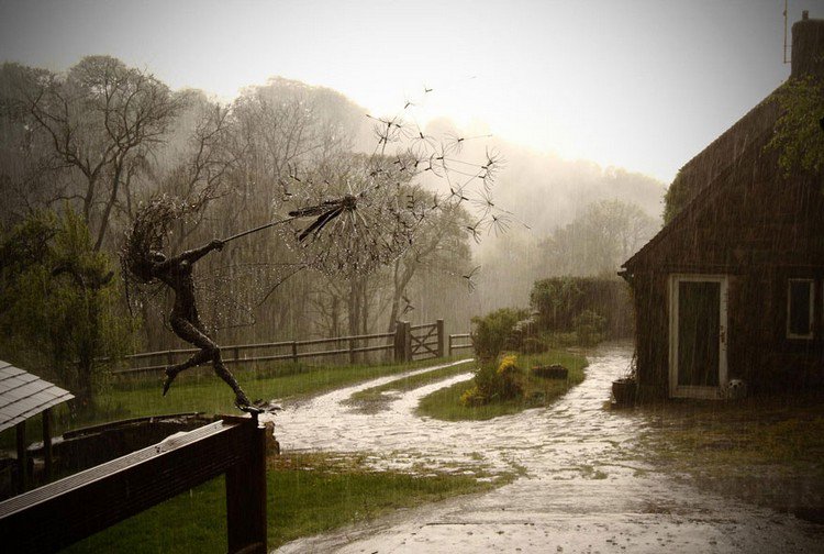 fairy dandelion clock rain